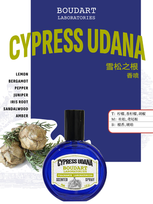 CYPRESS UDANA Ароматный спрей с эфирным маслом клещ International Klein Blue Design Style