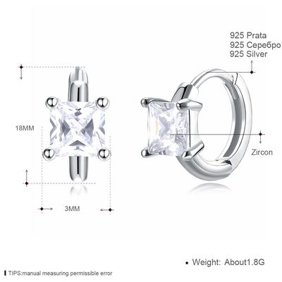 1.2cm 316L SS придают квадратную форму кубическим серьгам стержня серег 3A CZ Zirconia стерлинговым серебряным